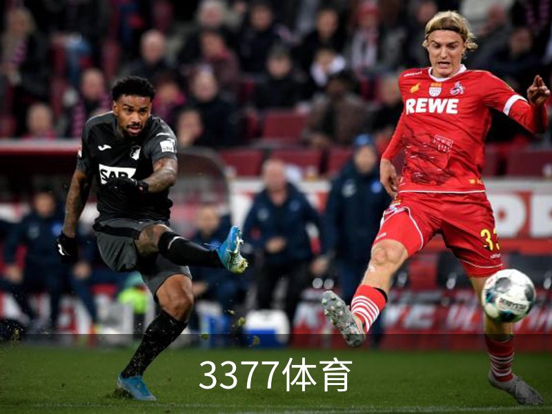 3377体育介绍